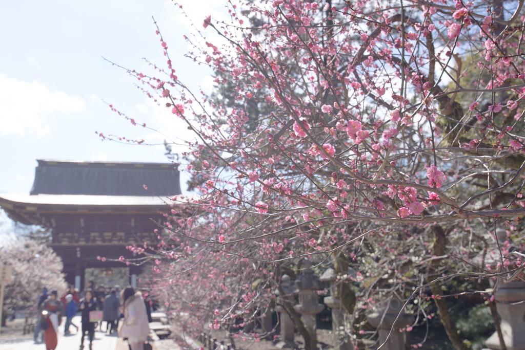 Le Machiya Kamishichiken Villa Kyoto Exterior photo